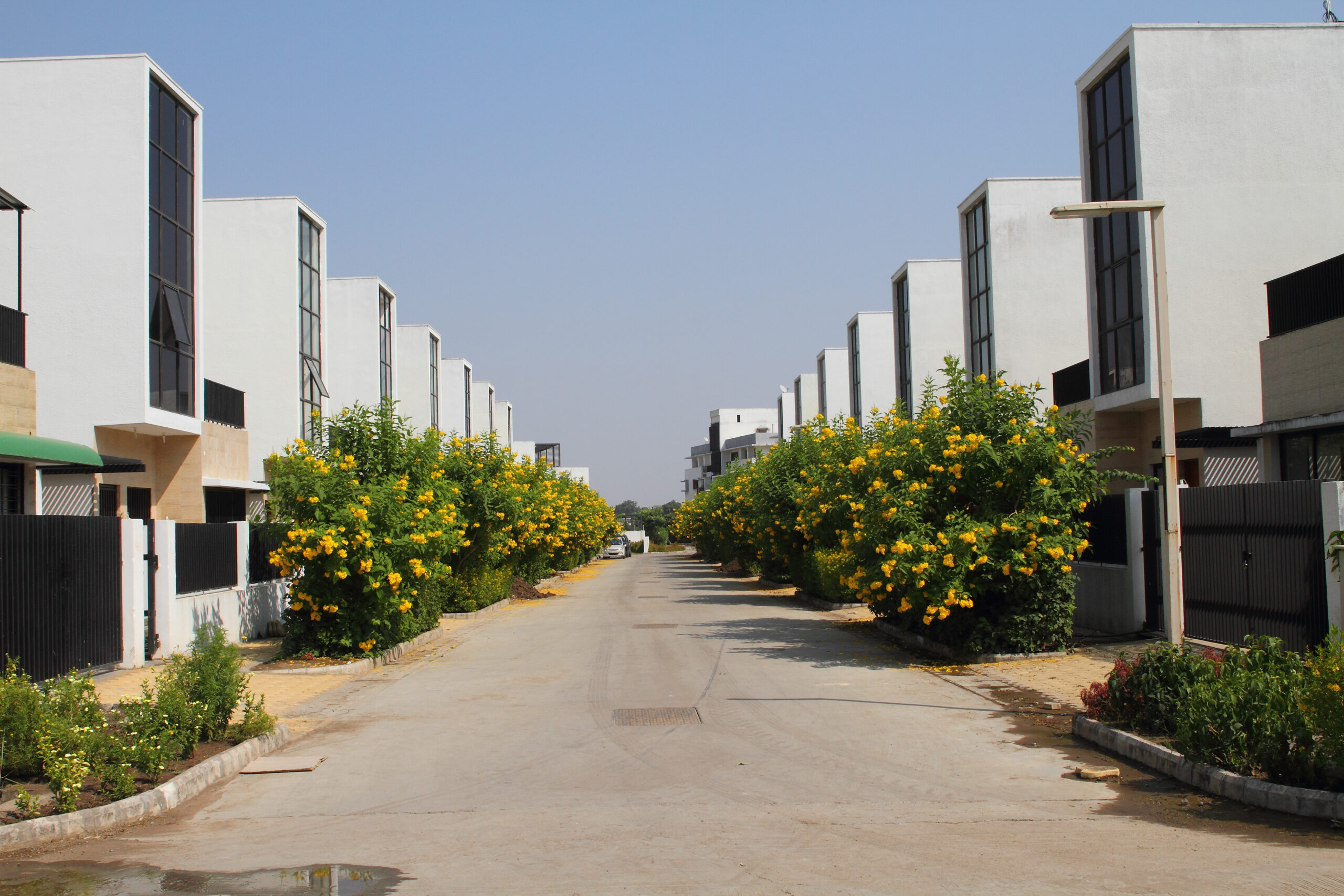 Silver Spring phase 1 Villa Pearl image